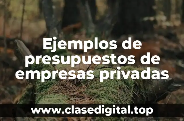 Ejemplos de presupuestos de empresas privadas