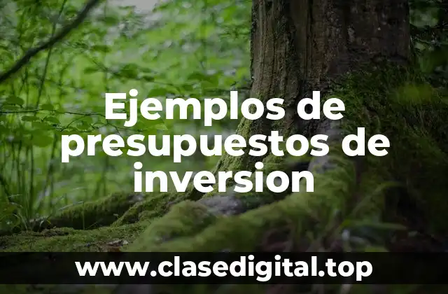 Ejemplos de presupuestos de inversion