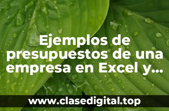 Ejemplos de presupuestos de una empresa en Excel y Significado