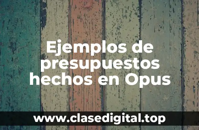 Ejemplos de presupuestos hechos en Opus