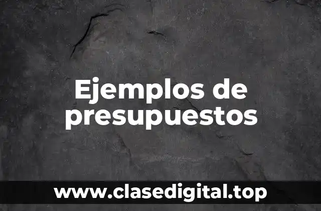 Ejemplos de presupuestos