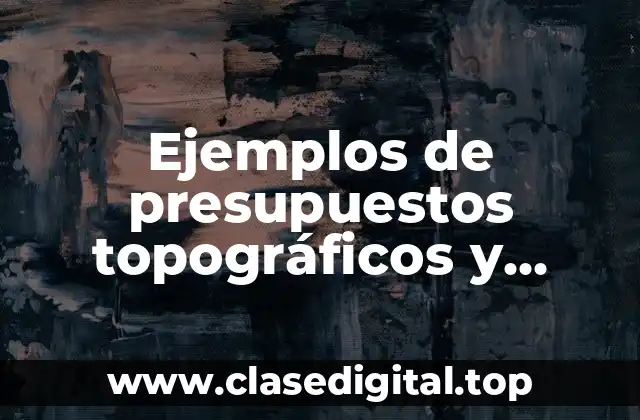 Ejemplos de presupuestos topográficos y Significado