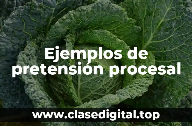 Ejemplos de pretensión procesal