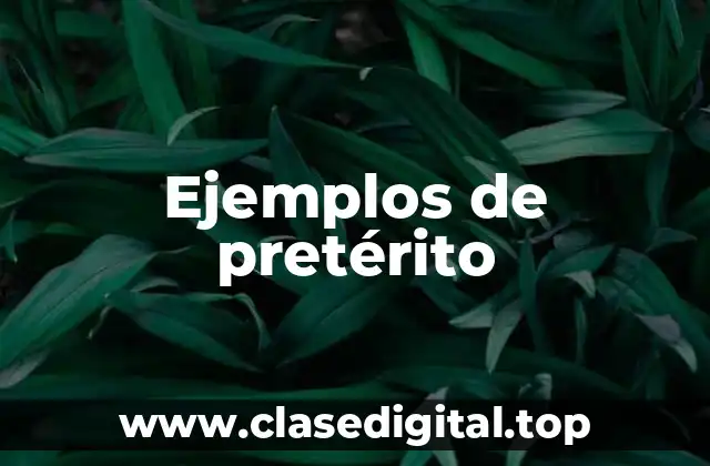 Ejemplos de pretérito