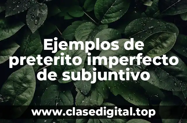 Ejemplos de preterito imperfecto de subjuntivo