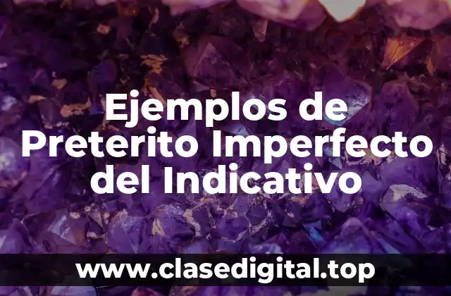 Ejemplos de Preterito Imperfecto del Indicativo