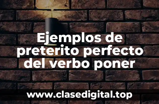 Ejemplos de preterito perfecto del verbo poner
