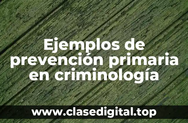 Ejemplos de prevención primaria en criminología