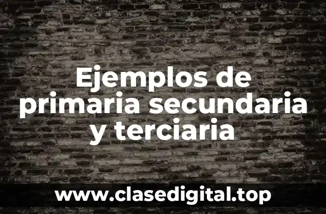 Ejemplos de primaria secundaria y terciaria