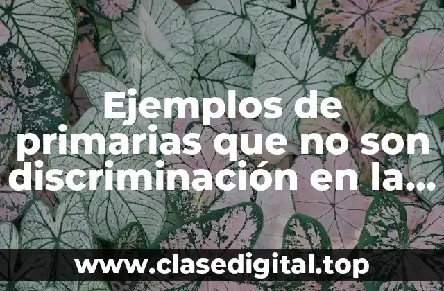 Ejemplos de primarias que no son discriminación en la escuela