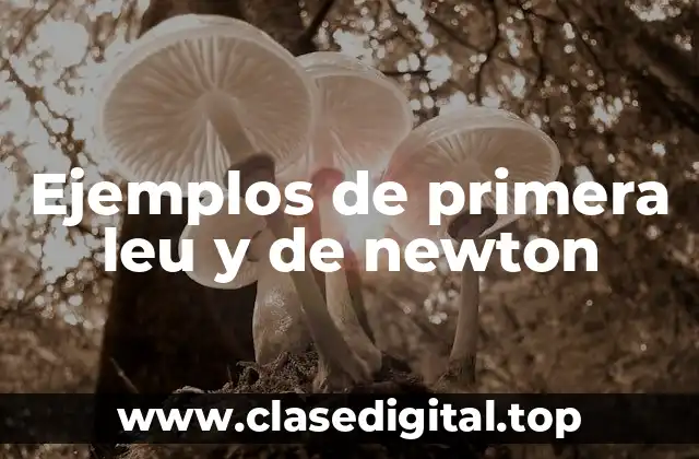 Ejemplos de primera leu y de newton