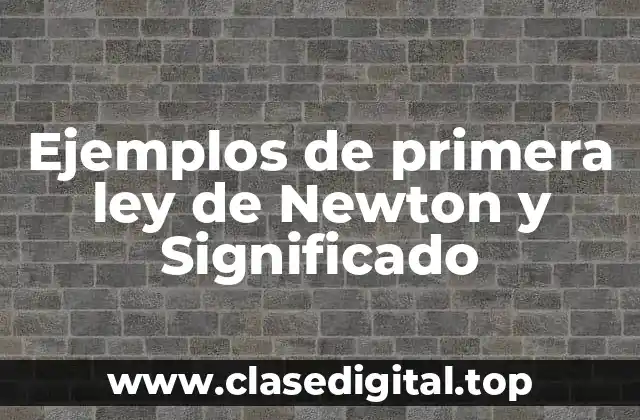 Ejemplos de primera ley de Newton y Significado