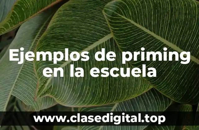Ejemplos de priming en la escuela