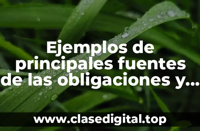 Ejemplos de principales fuentes de las obligaciones