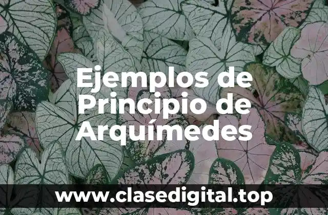 Ejemplos de Principio de Arquímedes