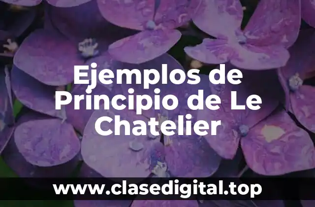 Ejemplos de Principio de Le Chatelier