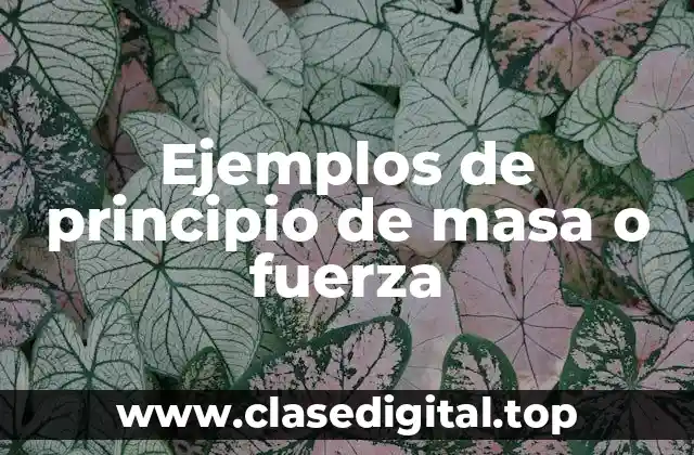 Ejemplos de principio de masa o fuerza