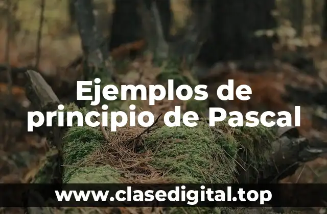 Ejemplos de principio de Pascal