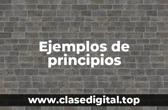 Ejemplos de principios