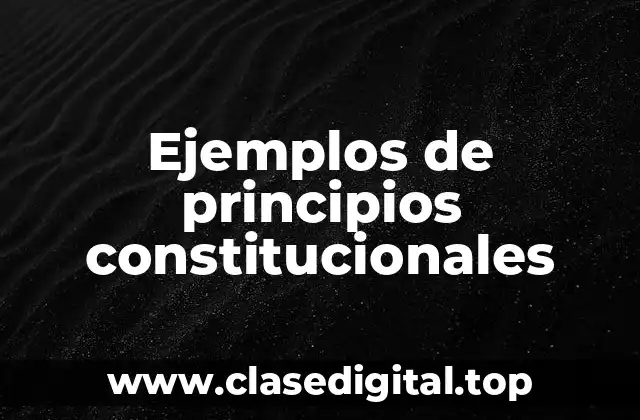 Ejemplos de principios constitucionales
