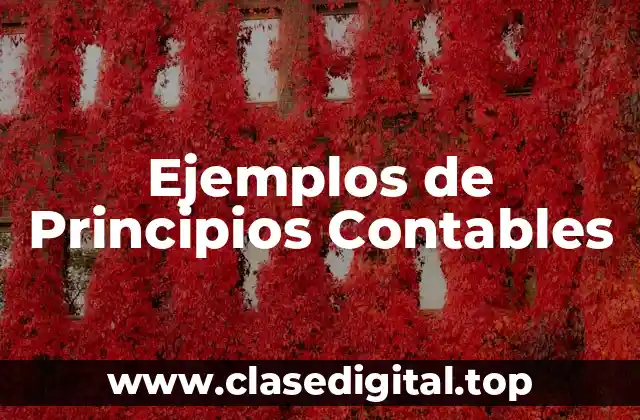 Ejemplos de Principios Contables