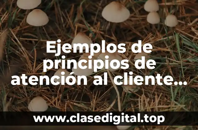 Ejemplos de principios de atención al cliente en una empresa