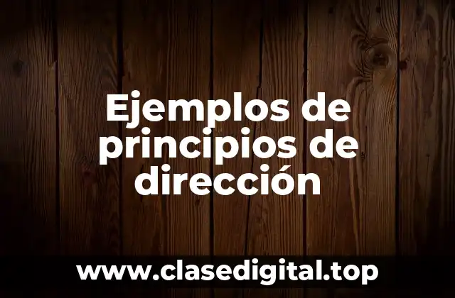 Ejemplos de principios de dirección