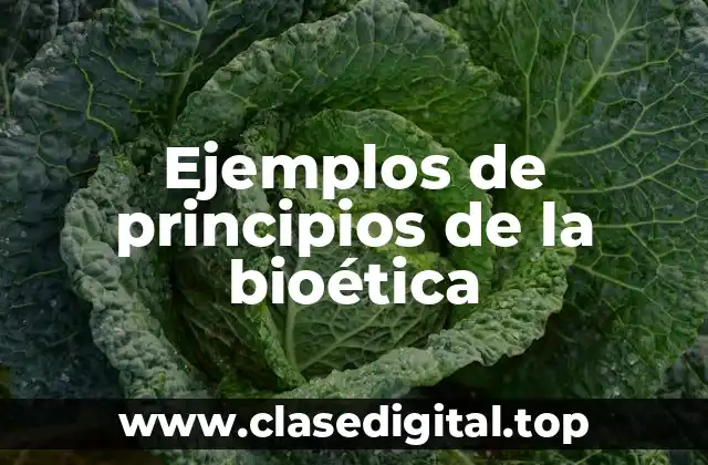 Ejemplos de principios de la bioética