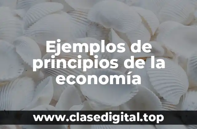 Ejemplos de principios de la economía