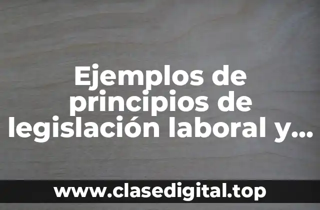 Ejemplos de principios de legislación laboral y Significado