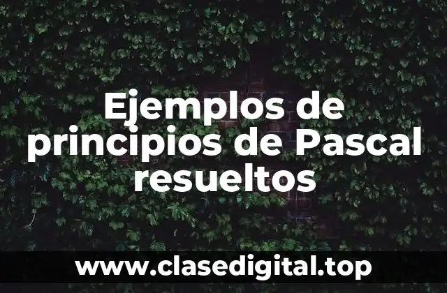 Ejemplos de principios de Pascal resueltos