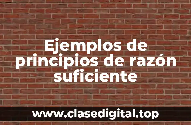 Ejemplos de principios de razón suficiente