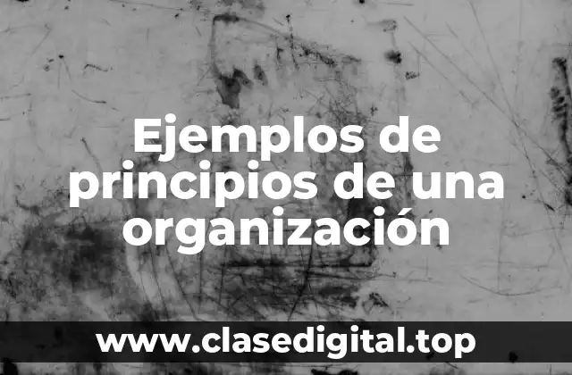 Ejemplos de principios de una organización