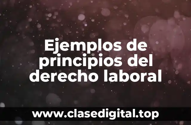 Ejemplos de principios del derecho laboral
