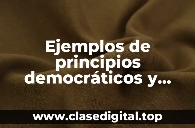 Ejemplos de principios democráticos
