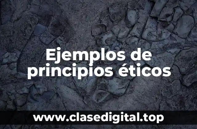 Ejemplos de principios éticos
