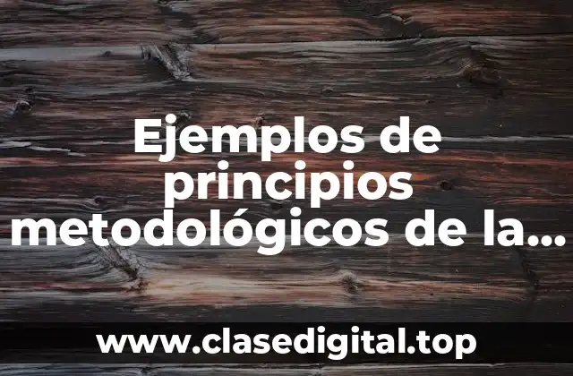 Ejemplos de principios metodológicos de la geografía