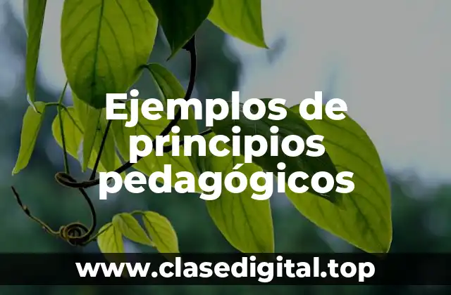 Ejemplos de principios pedagógicos