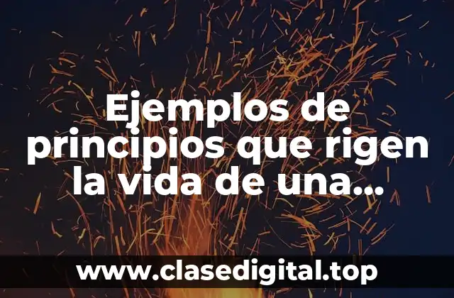 Ejemplos de principios que rigen la vida de una persona