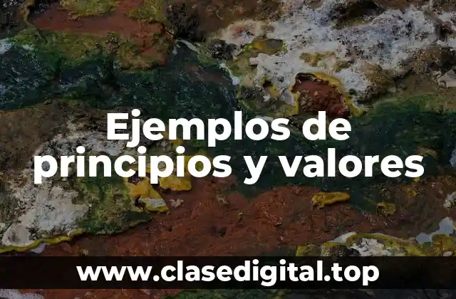 Ejemplos de principios y valores