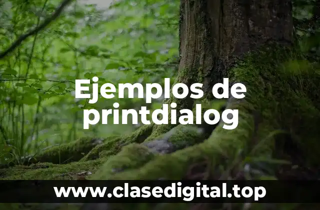 Ejemplos de printdialog
