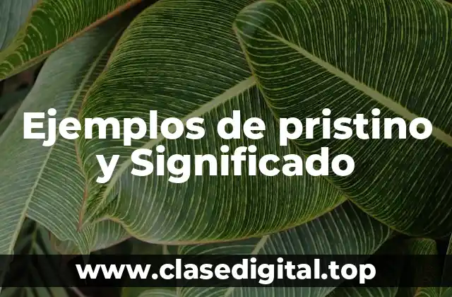 Ejemplos de pristino y Significado