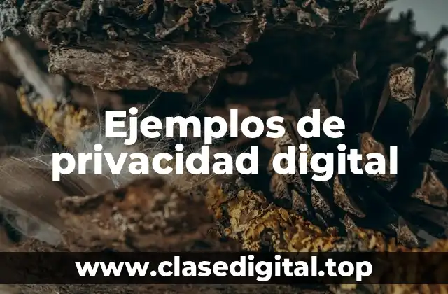 Ejemplos de privacidad digital