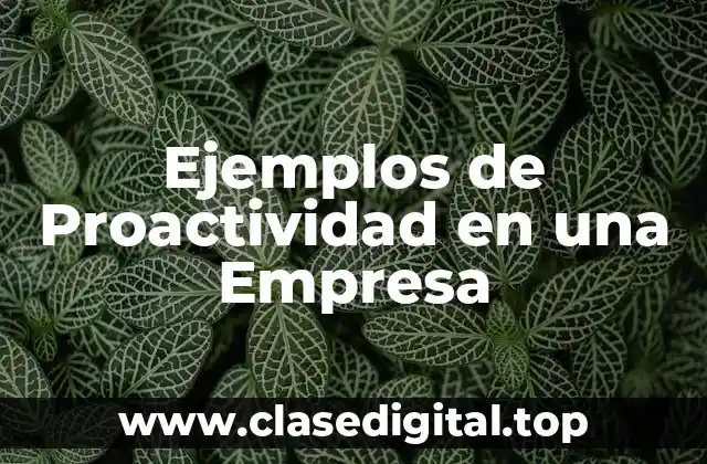 Ejemplos de Proactividad en una Empresa