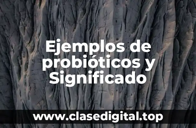 Ejemplos de probióticos y Significado