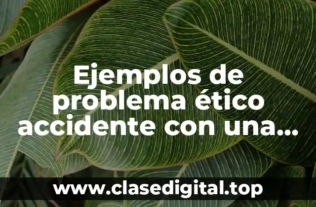Ejemplos de problema ético accidente con una latina ilegal