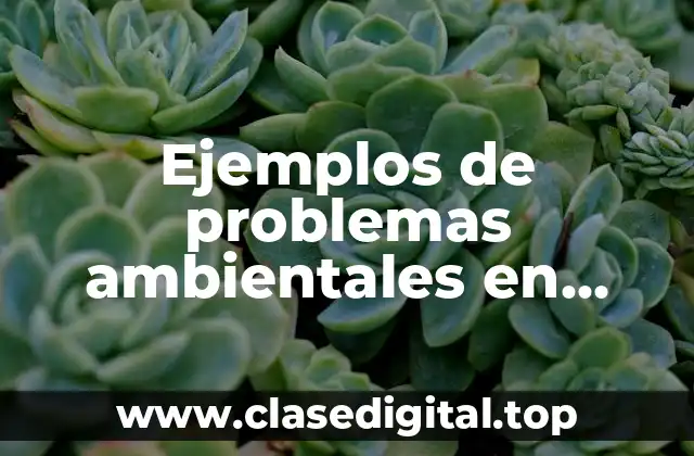 Ejemplos de problemas ambientales en México