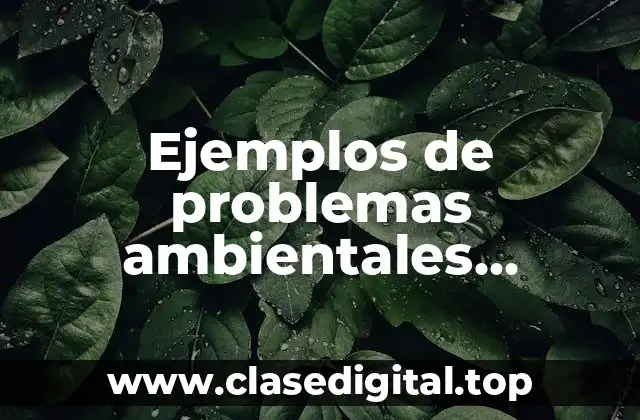 Ejemplos de problemas ambientales globales, regionales y locales
