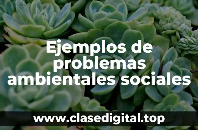 Ejemplos de problemas ambientales sociales