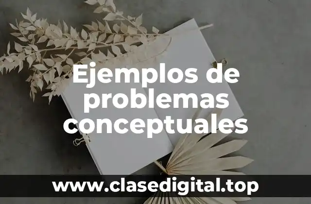 Ejemplos de problemas conceptuales